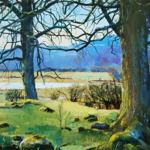Fiona Clucas