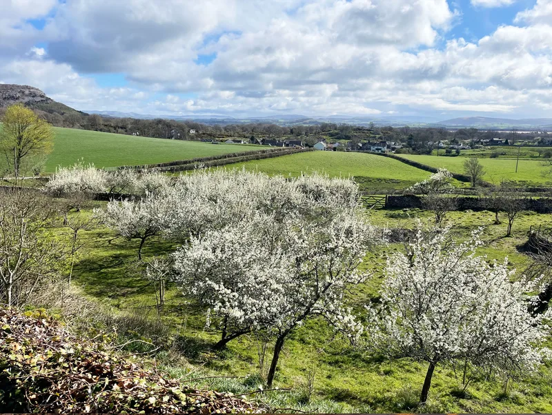 Witherslack area