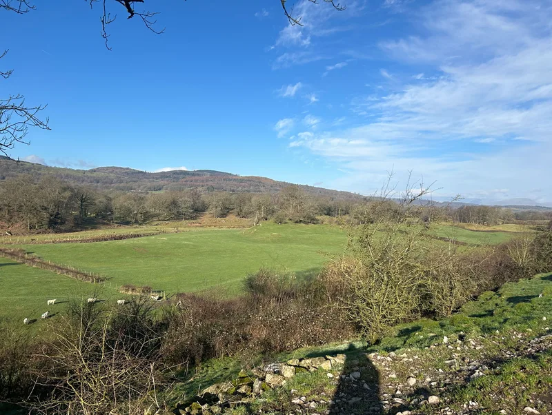 Witherslack area view
