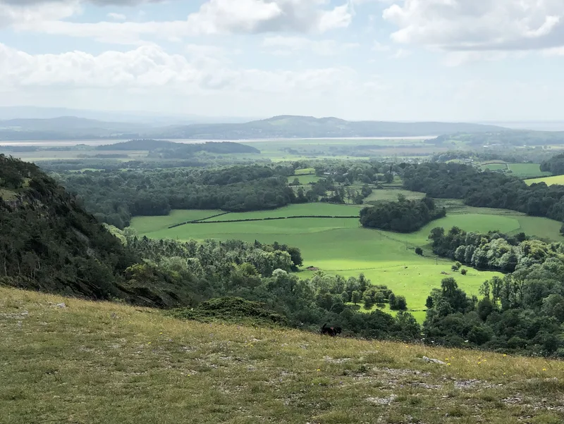 Witherslack area view